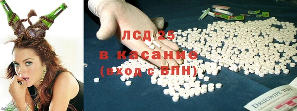 спайс Аркадак